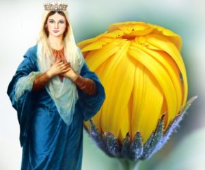 Our Blessed Mother with a marigold